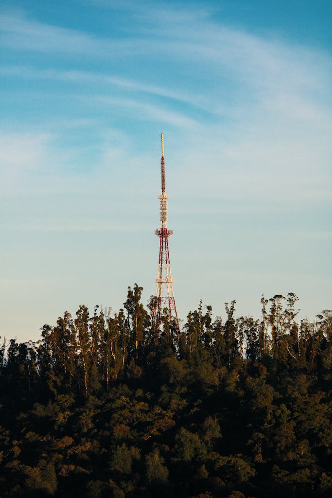 High broadcasting tower located near trees and thick high grass against cloudy blue sky